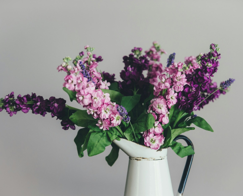 photo of pink and purple petaled flowers with white ceramic vase