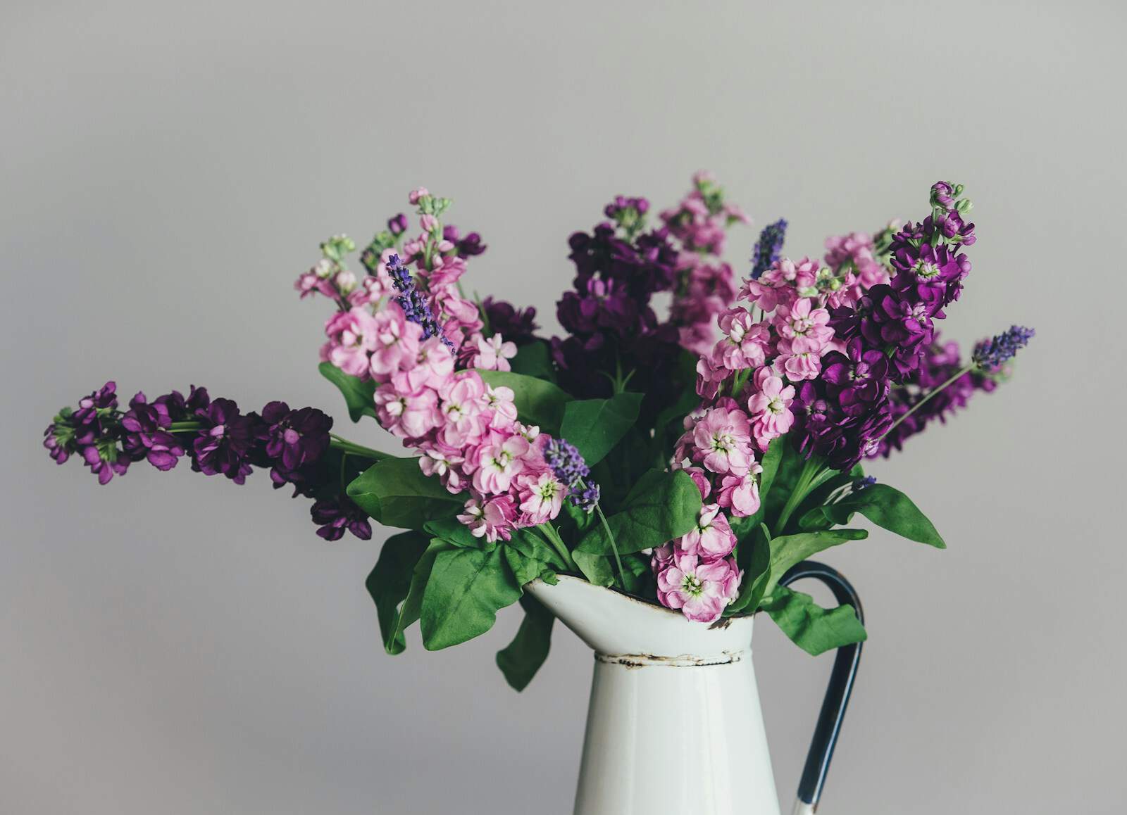 photo of pink and purple petaled flowers with white ceramic vase